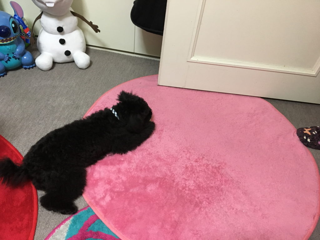 寝る位置であなたに対する信頼関係がわかります！