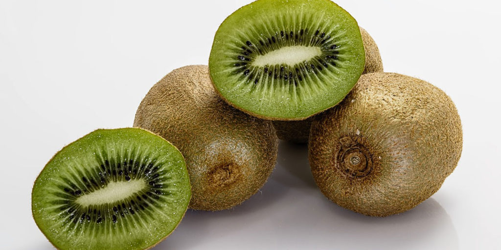 犬がキウイを食べても大丈夫？与える際の注意点を調べてみました。